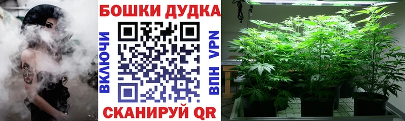 kraken онион  Елизово  Марихуана гибрид 